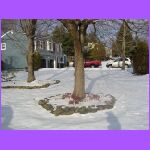 Yard of Lois and Bob.jpg